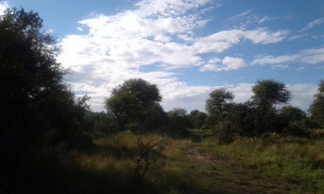 VENDO CAMPO EN AMBUL