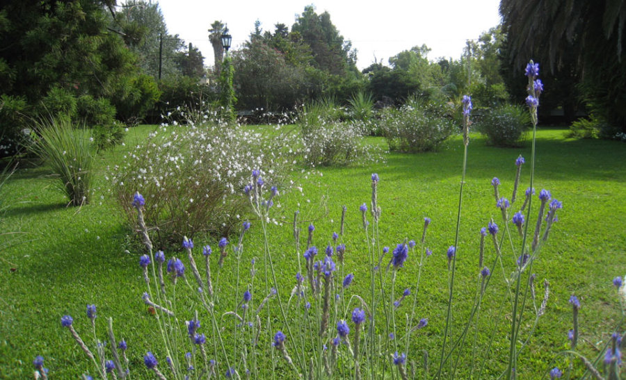 JARDINERO PARA SU HOGAR