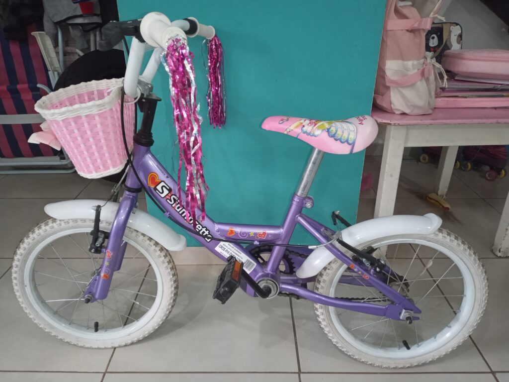 Bici para niña R16