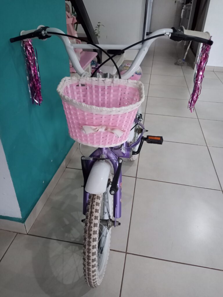 Bici para niña R16