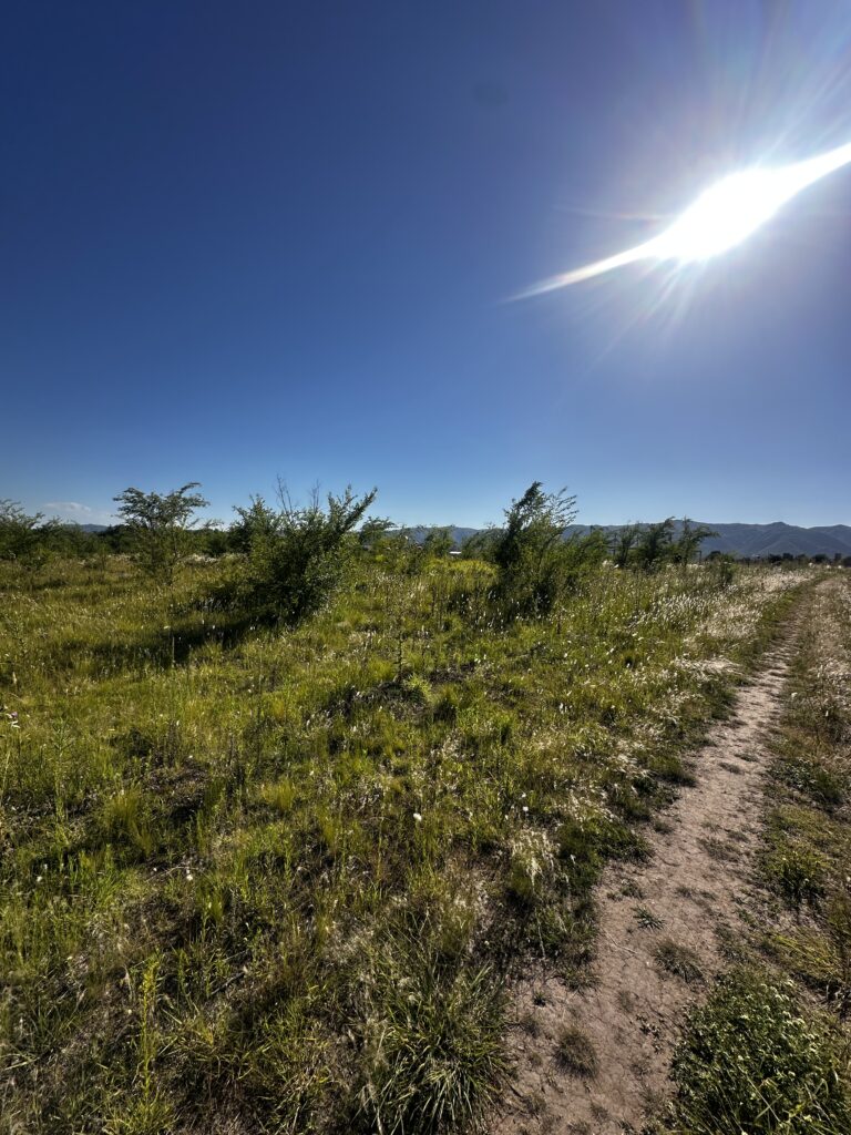 LOS REARTES – CORDOBA LOTES 600 M2 NIVELADOS u$S 6.000