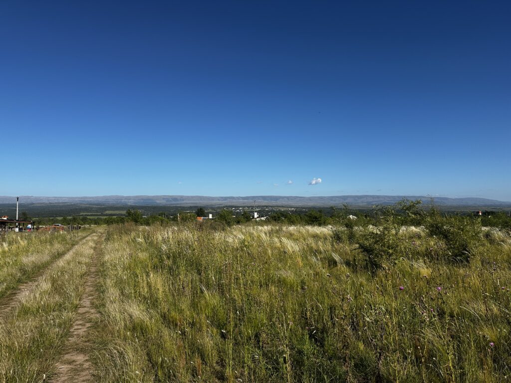 LOS REARTES – CORDOBA LOTES 600 M2 NIVELADOS u$S 6.000