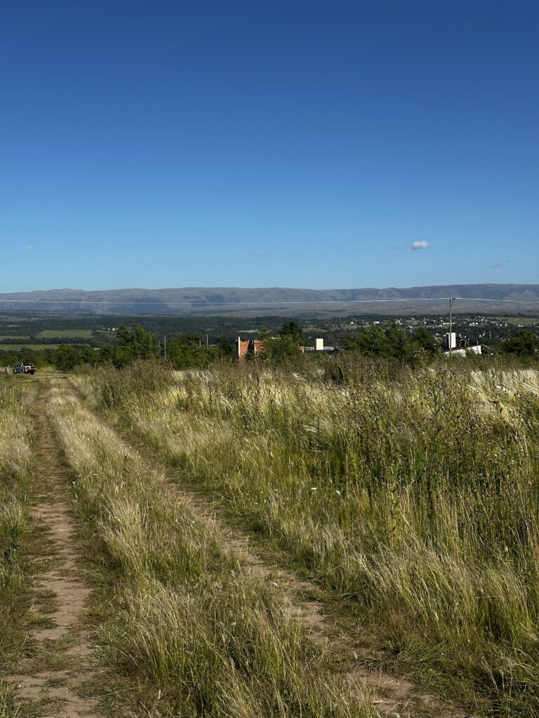 LOS REARTES – CORDOBA LOTES 600 M2 NIVELADOS u$S 6.000