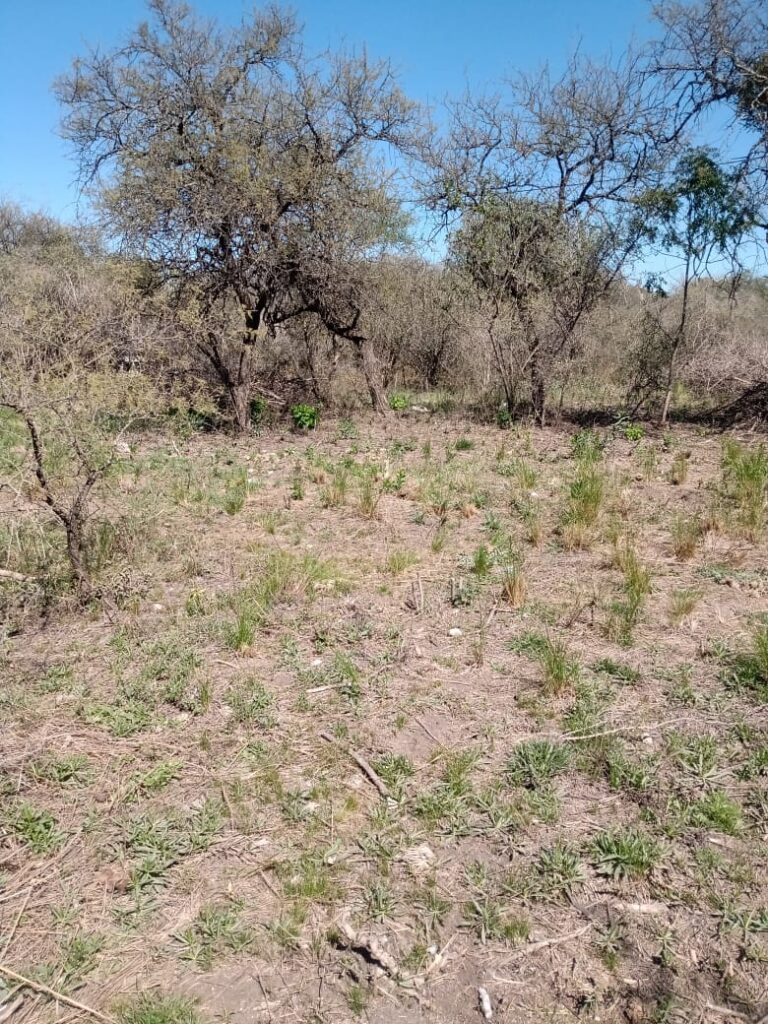 Terreno 343 m² con escritura, plano y con servicios en Salsipuedes, Sierras Chicas – USD 9.600